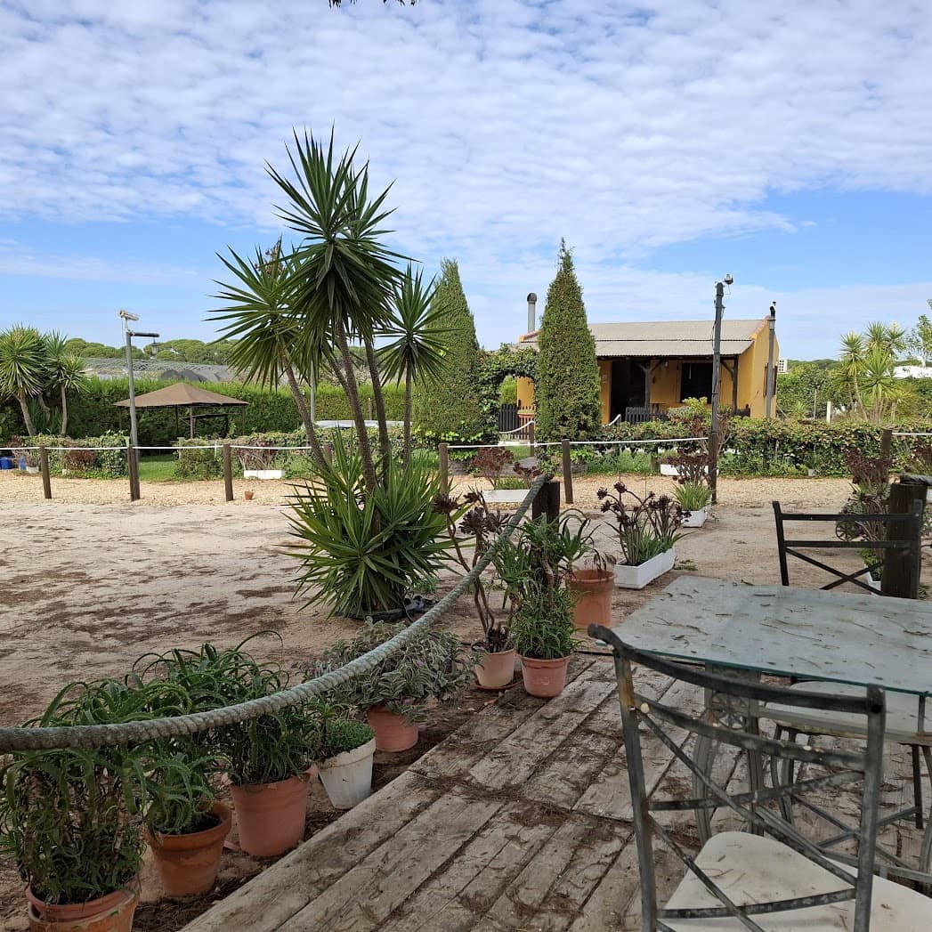 3 slaapkamer Finca/Landhuis te koop in Almonte met zwembad garage - € 98.000 (Ref: 9330185)