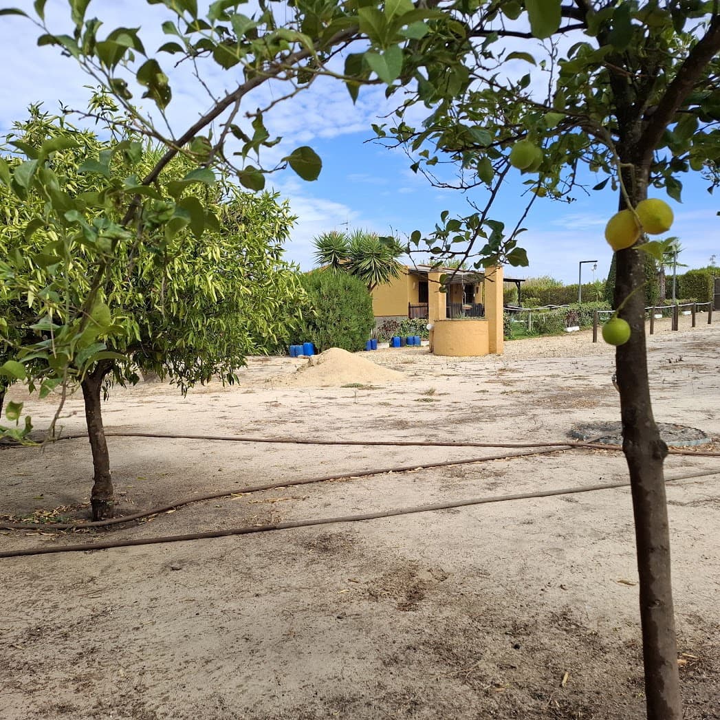 3 slaapkamer Finca/Landhuis te koop in Almonte met zwembad garage - € 98.000 (Ref: 9330185)