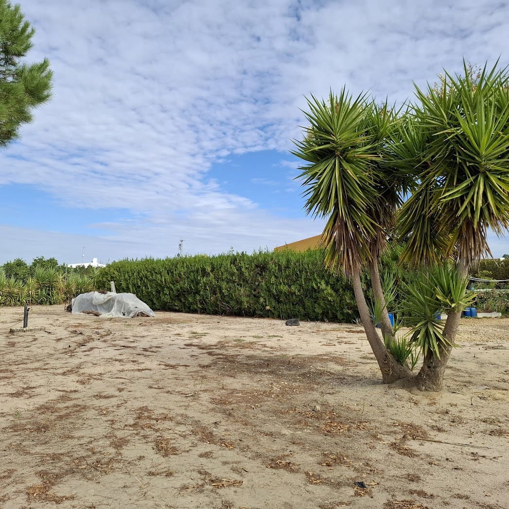 3 slaapkamer Finca/Landhuis te koop in Almonte met zwembad garage - € 98.000 (Ref: 9330185)