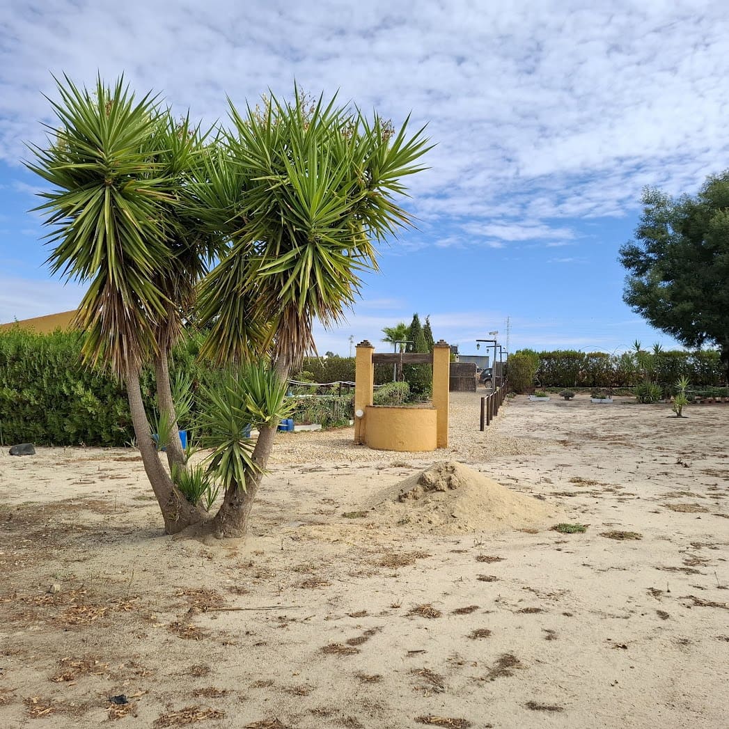 3 slaapkamer Finca/Landhuis te koop in Almonte met zwembad garage - € 98.000 (Ref: 9330185)