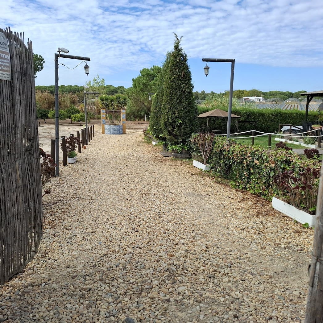 3 slaapkamer Finca/Landhuis te koop in Almonte met zwembad garage - € 98.000 (Ref: 9330185)