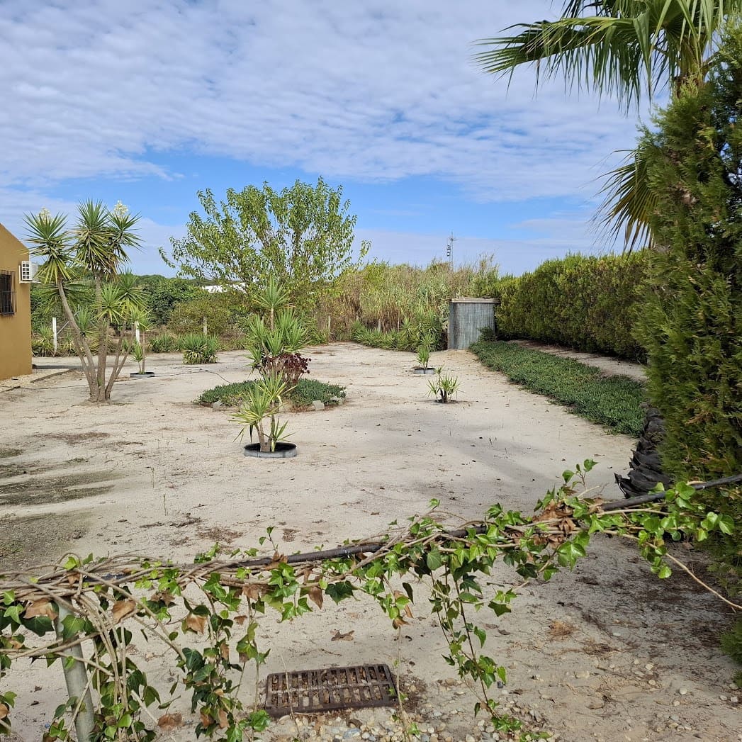 3 slaapkamer Finca/Landhuis te koop in Almonte met zwembad garage - € 98.000 (Ref: 9330185)