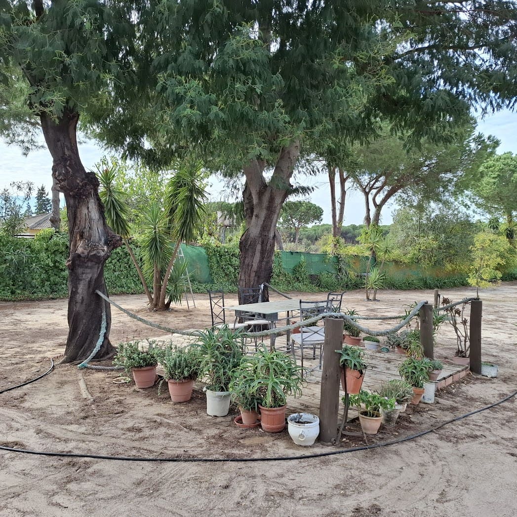 3 slaapkamer Finca/Landhuis te koop in Almonte met zwembad garage - € 98.000 (Ref: 9330185)