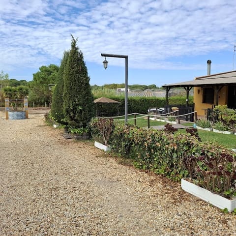 3 chambre Finca/Maison de Campagne à vendre à Almonte avec piscine garage - 98 000 € (Ref: 9330185)