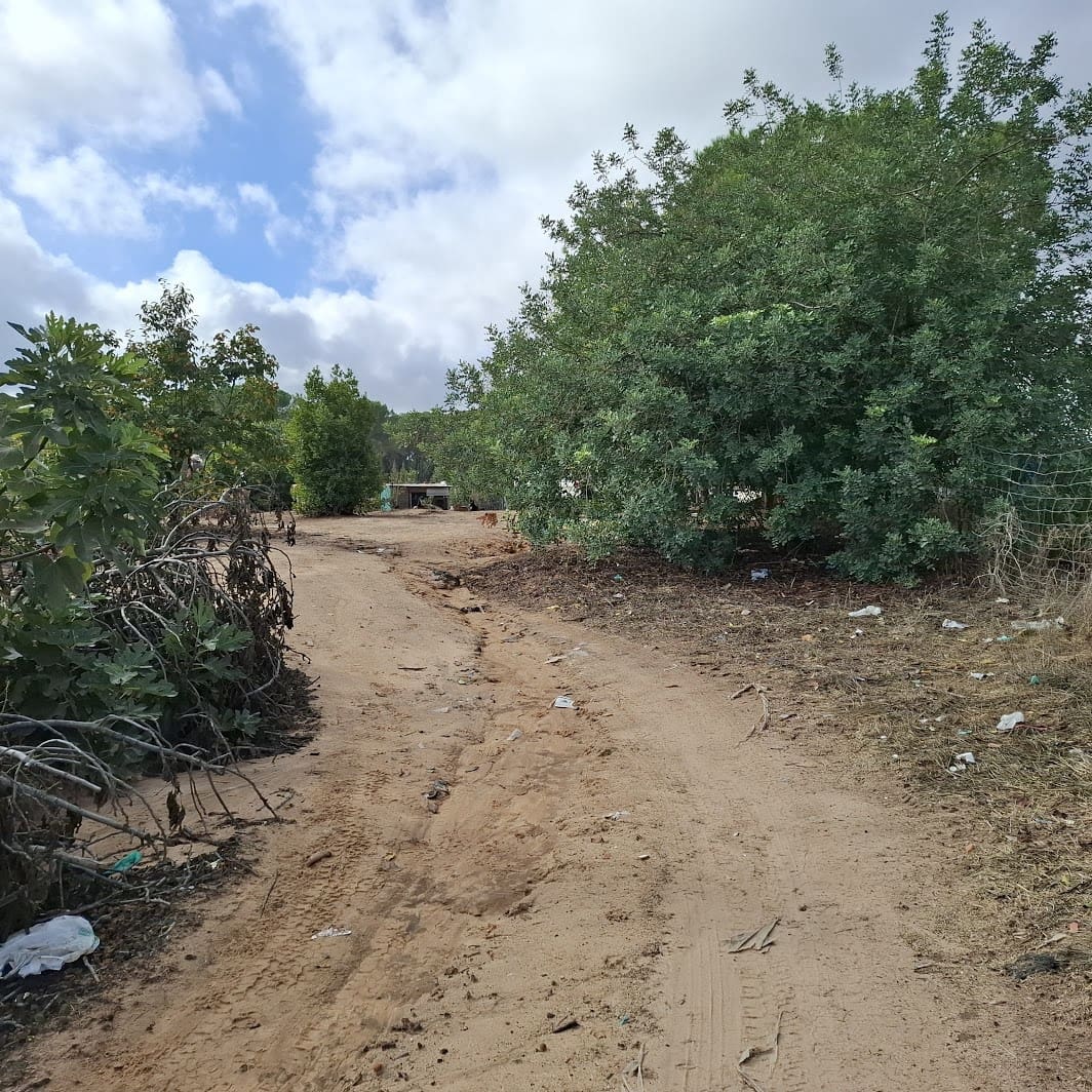 2 soverom Finca/Herregård til salgs i Almonte med garasje - € 60 000 (Ref: 9361934)