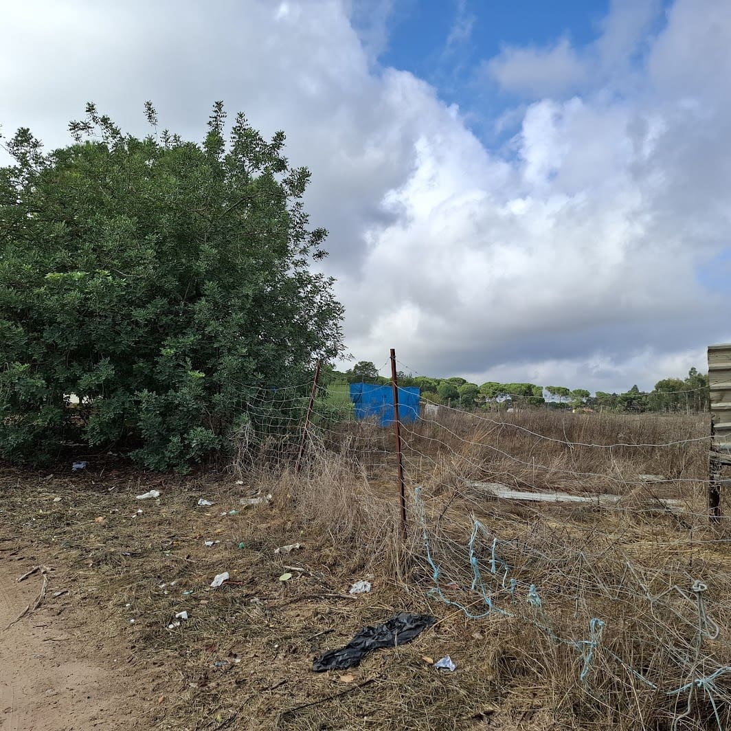 2 soverom Finca/Herregård til salgs i Almonte med garasje - € 60 000 (Ref: 9361934)