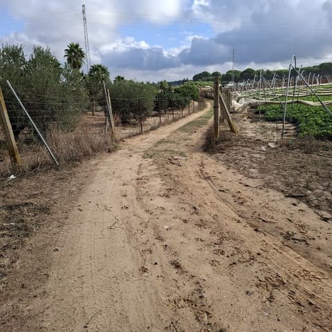 2 chambre Finca/Maison de Campagne à vendre à Almonte avec garage - 60 000 € (Ref: 9361934)