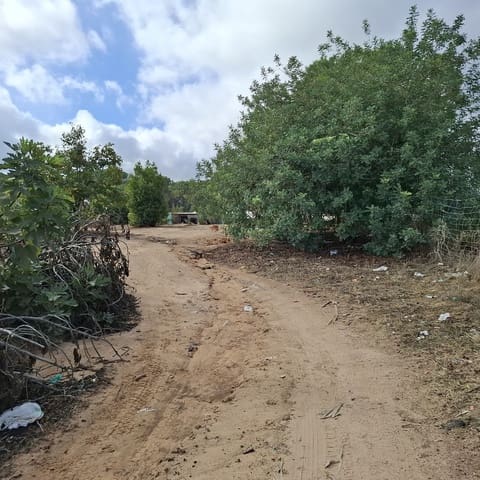 2 chambre Finca/Maison de Campagne à vendre à Almonte avec garage - 60 000 € (Ref: 9361934)