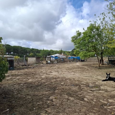 2 chambre Finca/Maison de Campagne à vendre à Almonte avec garage - 60 000 € (Ref: 9361934)