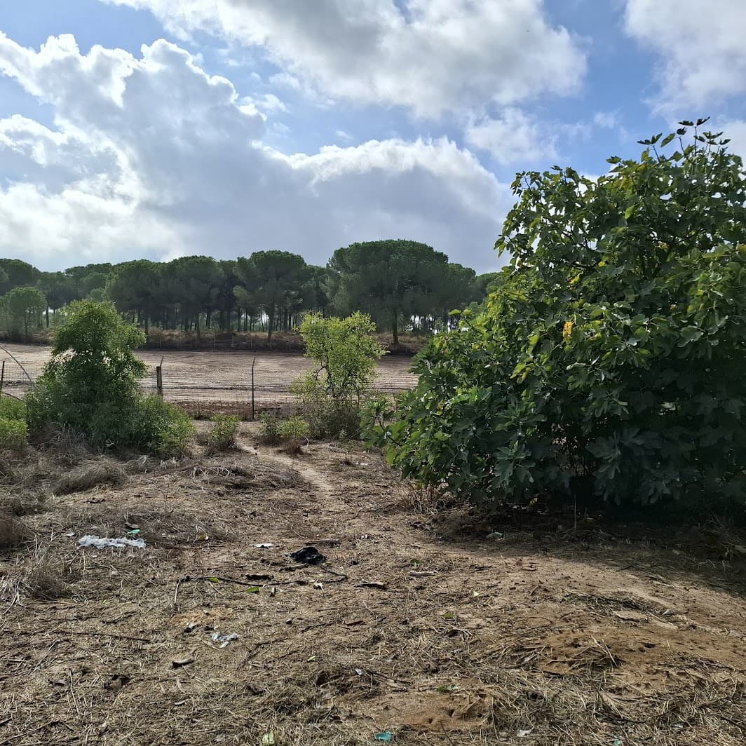 2 soverom Finca/Herregård til salgs i Almonte med garasje - € 60 000 (Ref: 9361934)