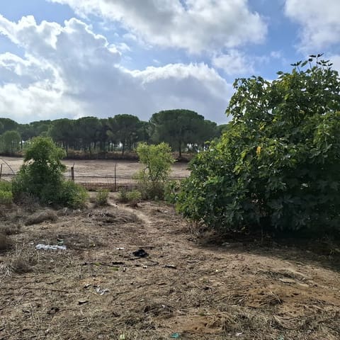 2 chambre Finca/Maison de Campagne à vendre à Almonte avec garage - 60 000 € (Ref: 9361934)