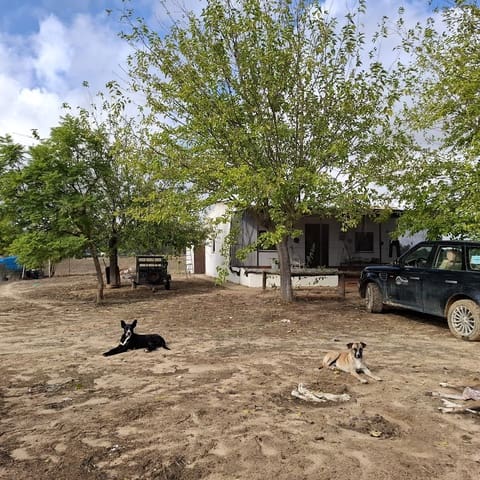 2 chambre Finca/Maison de Campagne à vendre à Almonte avec garage - 60 000 € (Ref: 9361934)