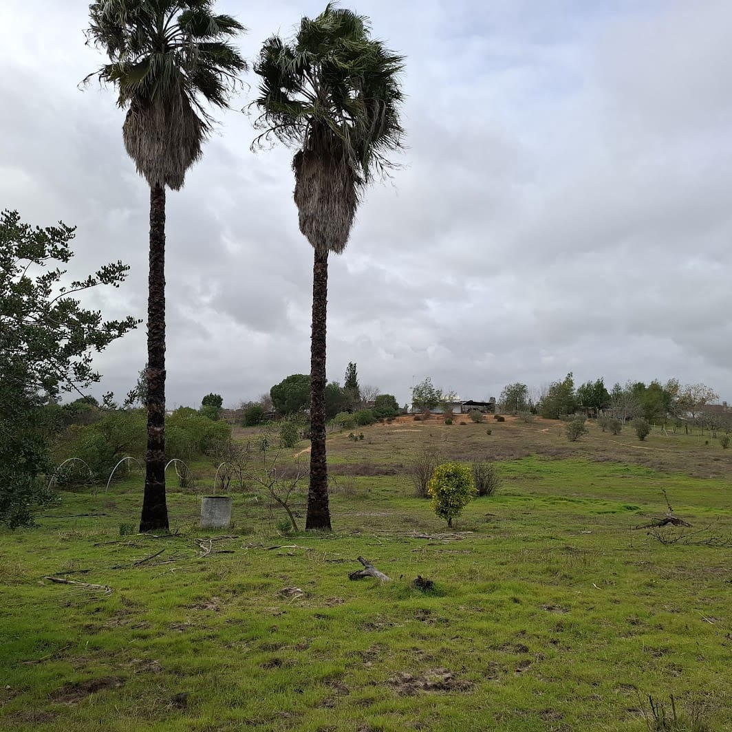 3 Zimmer Finca/Landgut zu verkaufen in Almonte mit Garage - 95.000 € (Ref: 9547835)