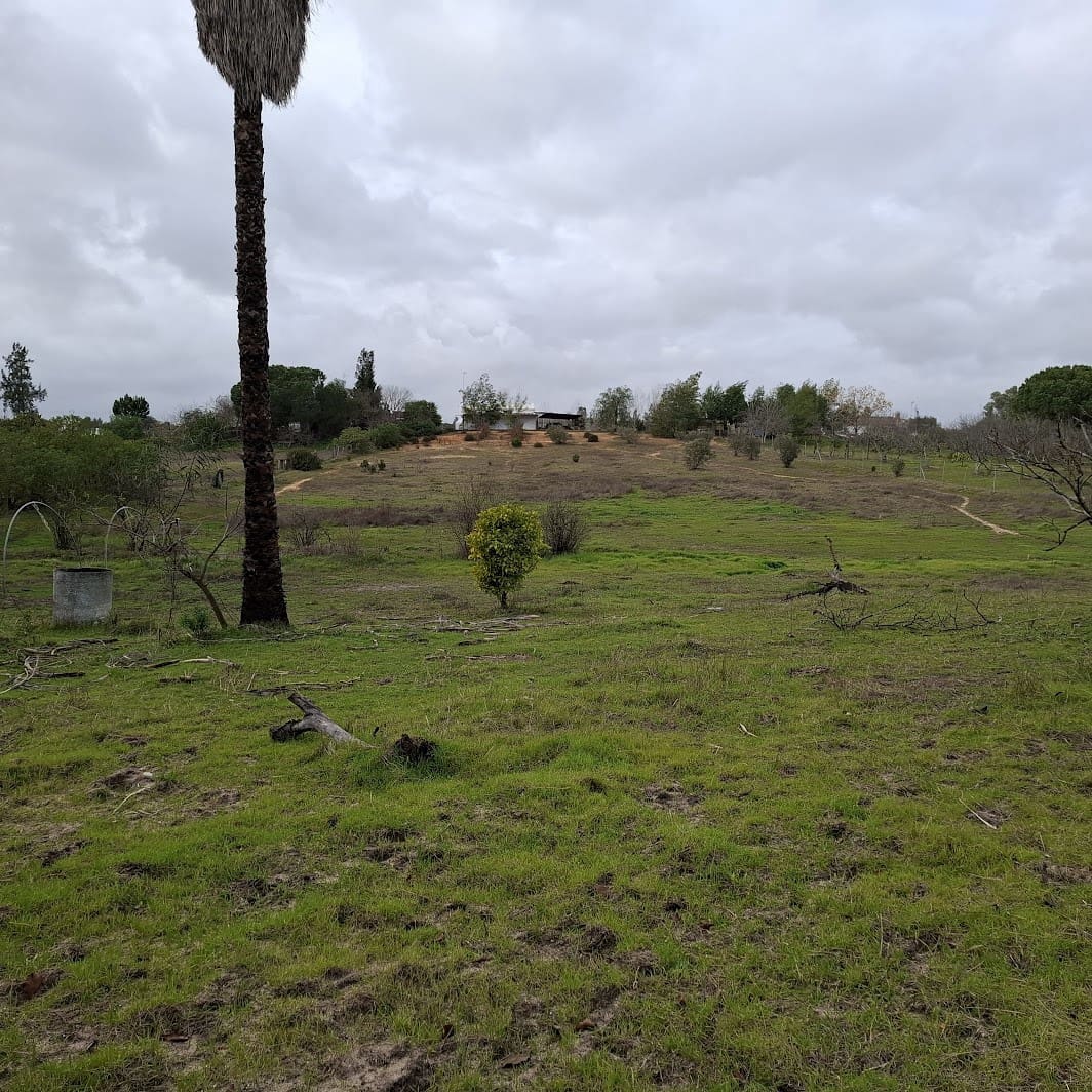 3 Zimmer Finca/Landgut zu verkaufen in Almonte mit Garage - 95.000 € (Ref: 9547835)