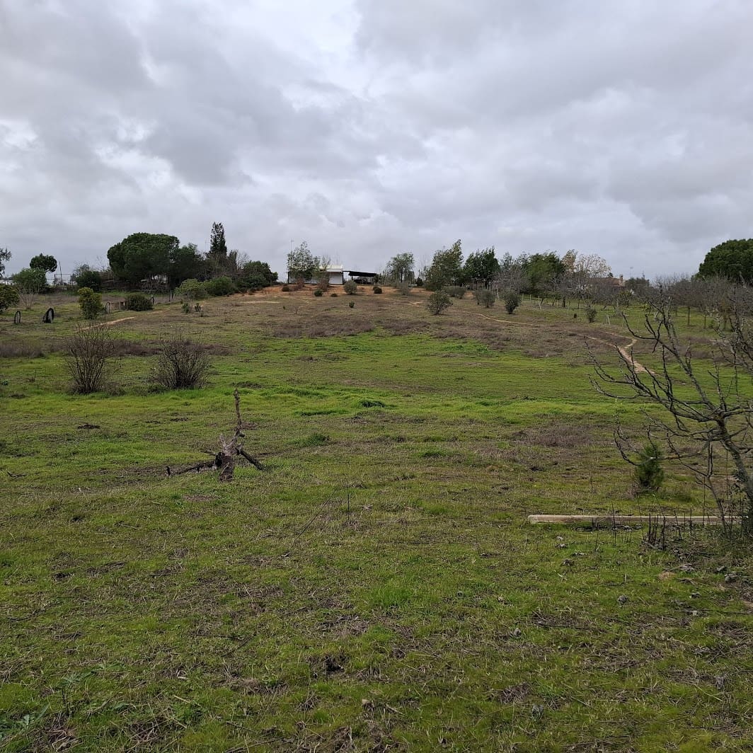 3 Zimmer Finca/Landgut zu verkaufen in Almonte mit Garage - 95.000 € (Ref: 9547835)