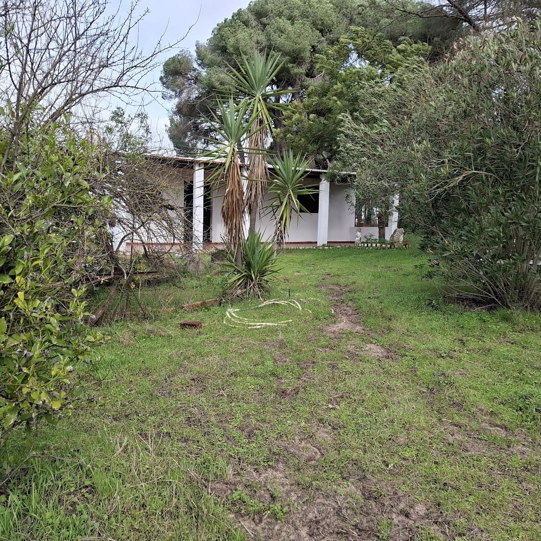 3 Zimmer Finca/Landgut zu verkaufen in Almonte mit Garage - 95.000 € (Ref: 9547835)