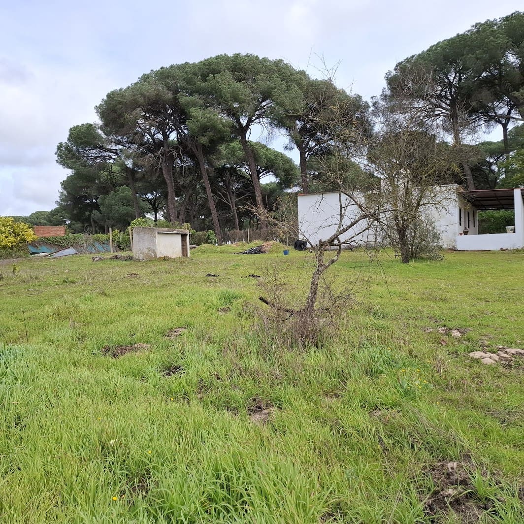 3 Zimmer Finca/Landgut zu verkaufen in Almonte mit Garage - 95.000 € (Ref: 9547835)