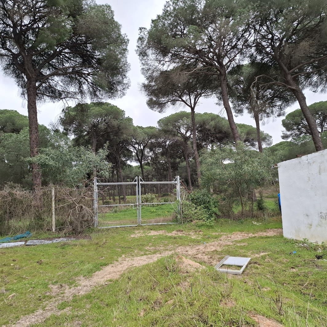 3 Zimmer Finca/Landgut zu verkaufen in Almonte mit Garage - 95.000 € (Ref: 9547835)