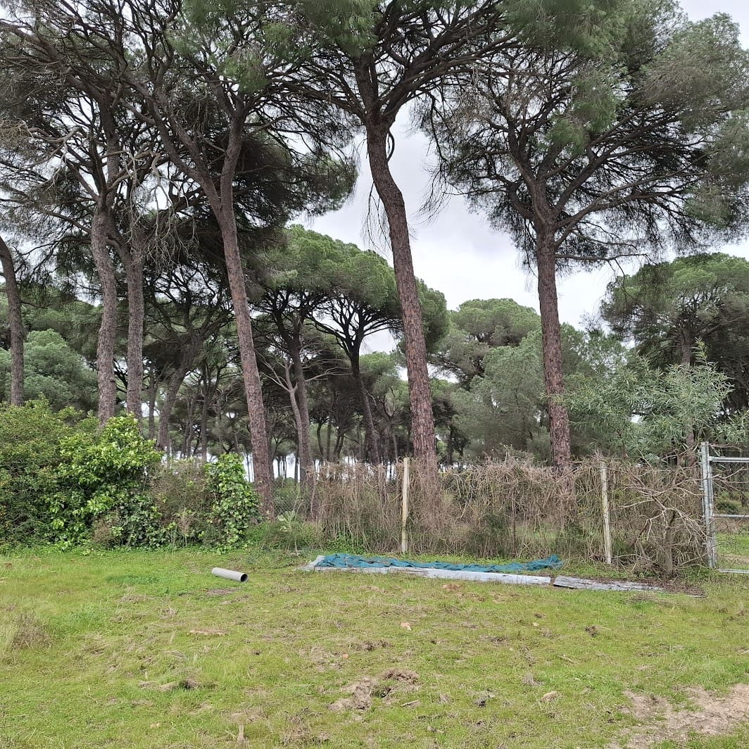 3 Zimmer Finca/Landgut zu verkaufen in Almonte mit Garage - 95.000 € (Ref: 9547835)