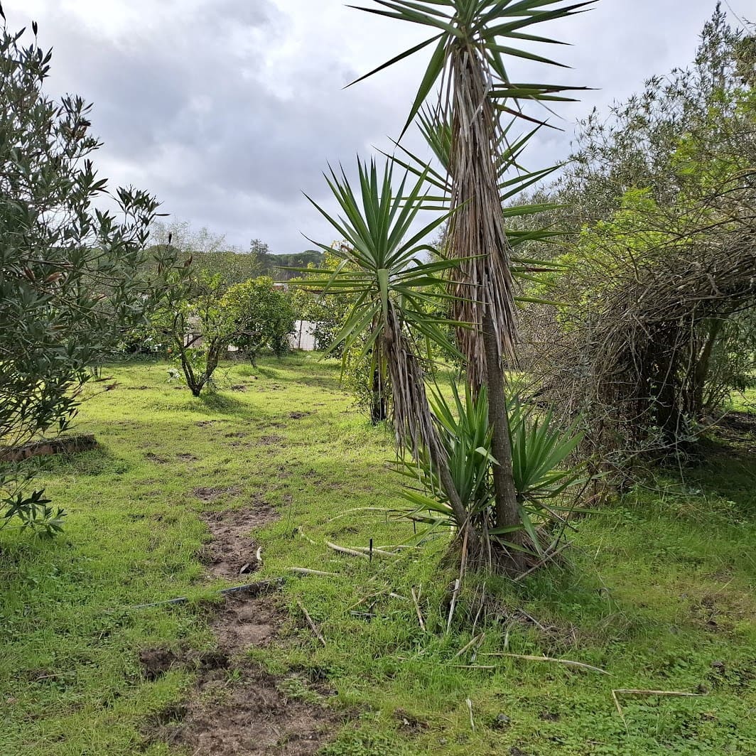 3 Zimmer Finca/Landgut zu verkaufen in Almonte mit Garage - 95.000 € (Ref: 9547835)