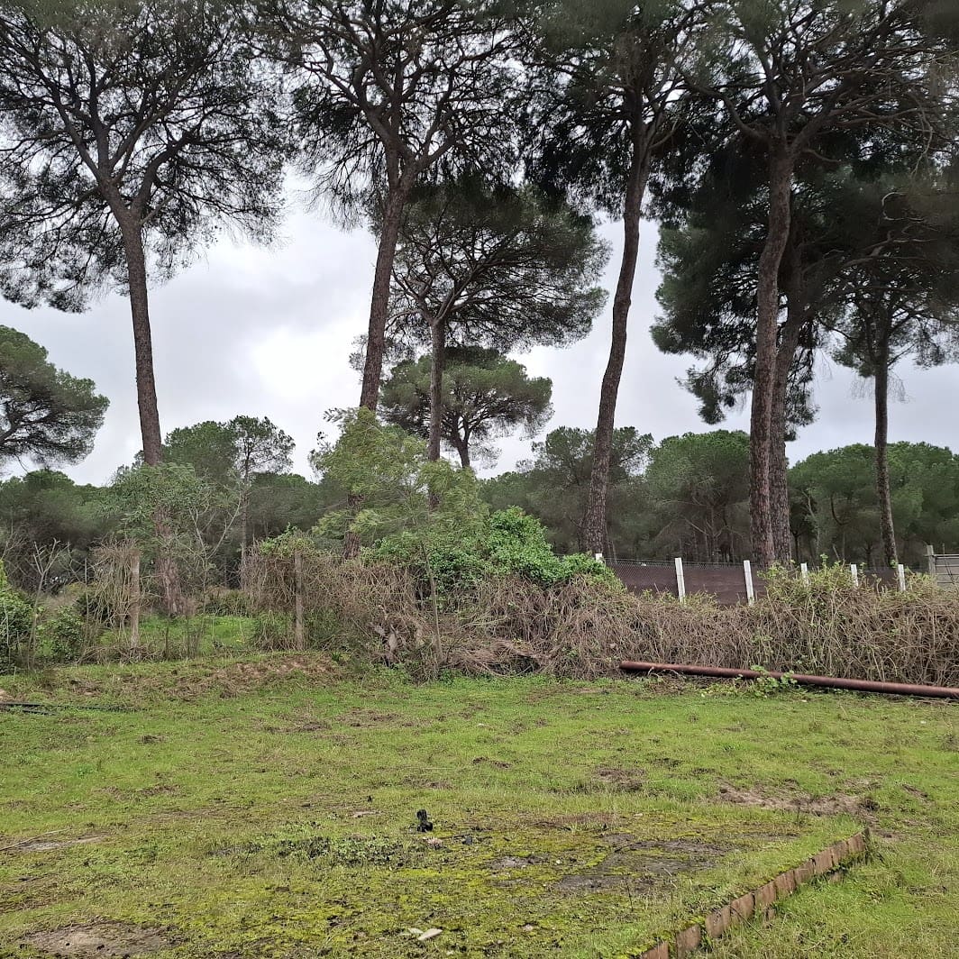 3 Zimmer Finca/Landgut zu verkaufen in Almonte mit Garage - 95.000 € (Ref: 9547835)