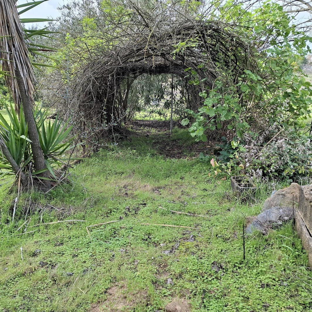 3 Zimmer Finca/Landgut zu verkaufen in Almonte mit Garage - 95.000 € (Ref: 9547835)