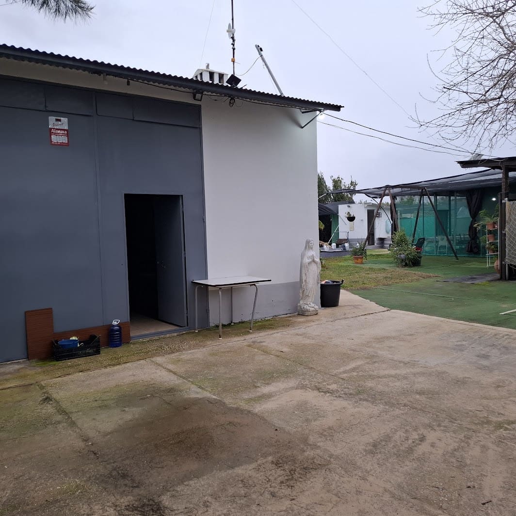 2 sypialnia Finka/Dom wiejski na sprzedaż w Almonte z basenem garażem - 140 000 € (Ref: 9604544)