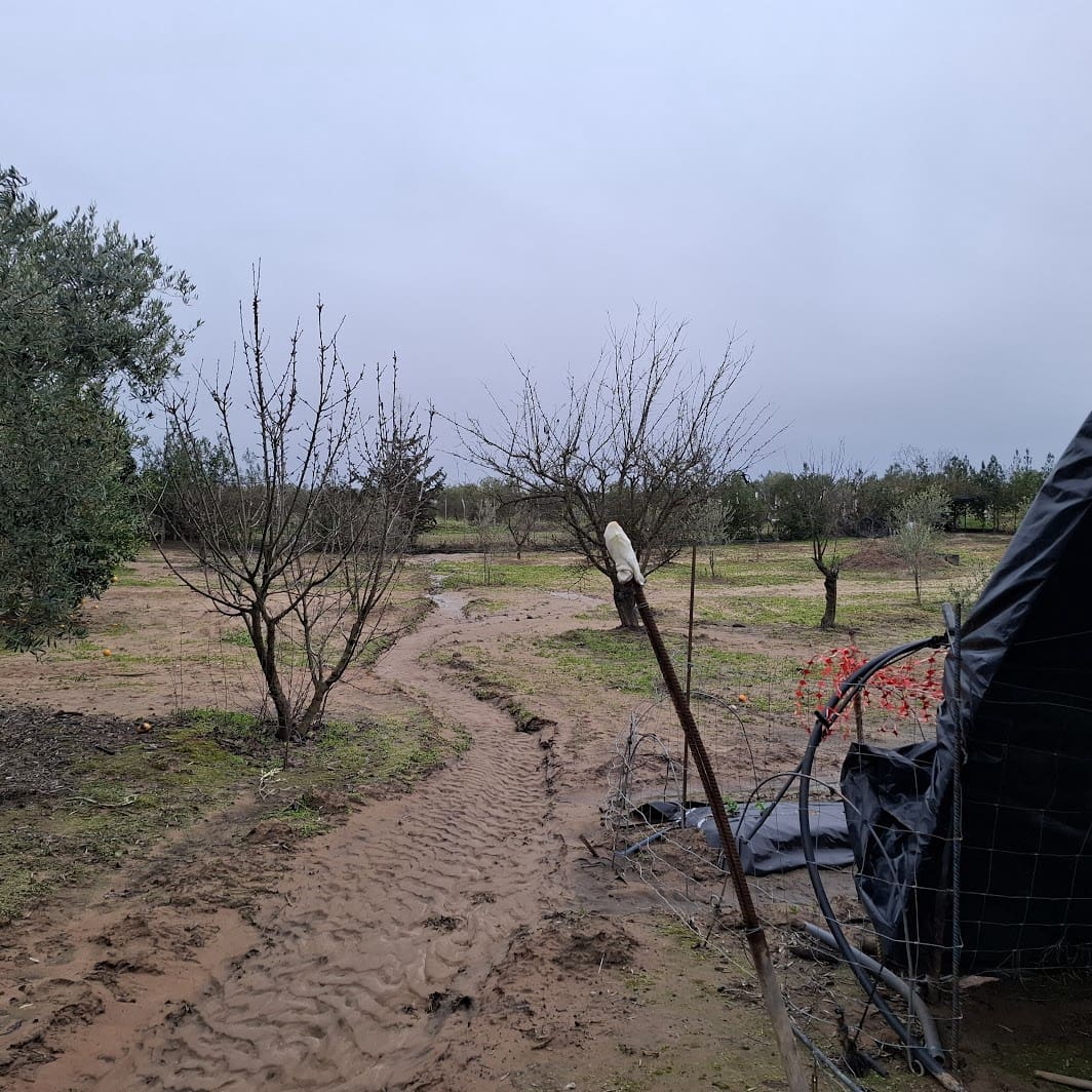 2 sypialnia Finka/Dom wiejski na sprzedaż w Almonte z basenem garażem - 140 000 € (Ref: 9604544)