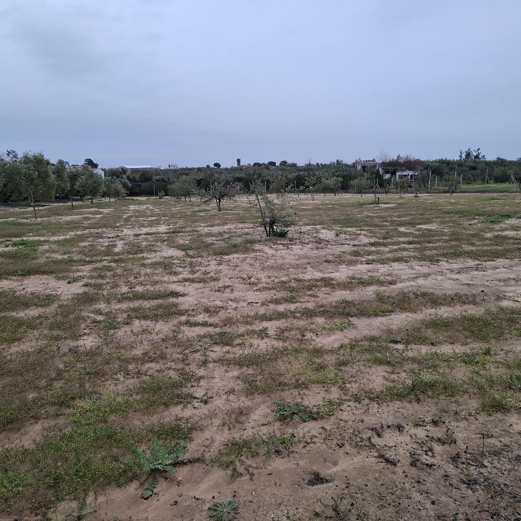 2 sypialnia Finka/Dom wiejski na sprzedaż w Almonte z basenem garażem - 140 000 € (Ref: 9604544)