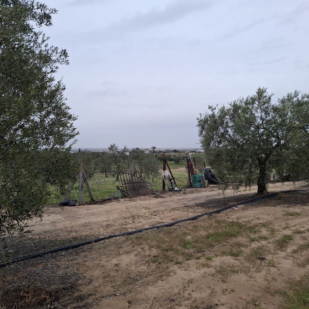 2 sypialnia Finka/Dom wiejski na sprzedaż w Almonte z basenem garażem - 140 000 € (Ref: 9604544)