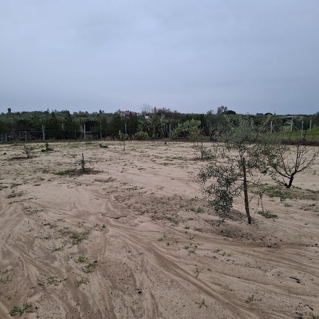 2 sypialnia Finka/Dom wiejski na sprzedaż w Almonte z basenem garażem - 140 000 € (Ref: 9604544)