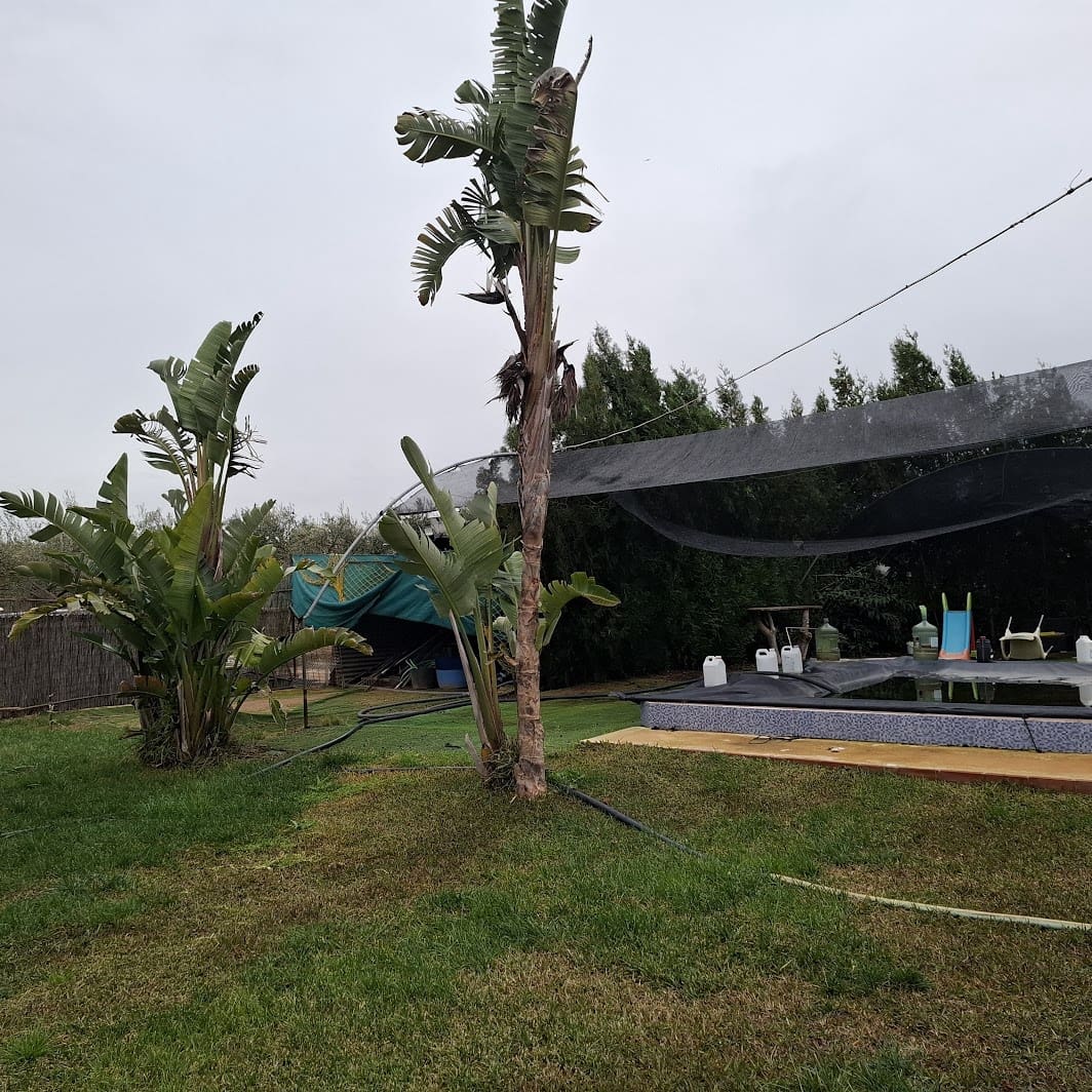 2 sypialnia Finka/Dom wiejski na sprzedaż w Almonte z basenem garażem - 140 000 € (Ref: 9604544)