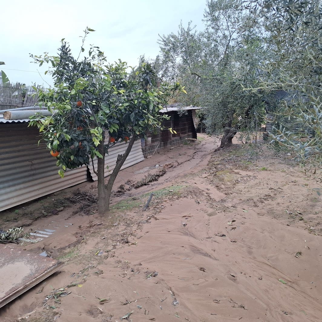 2 sypialnia Finka/Dom wiejski na sprzedaż w Almonte z basenem garażem - 140 000 € (Ref: 9604544)