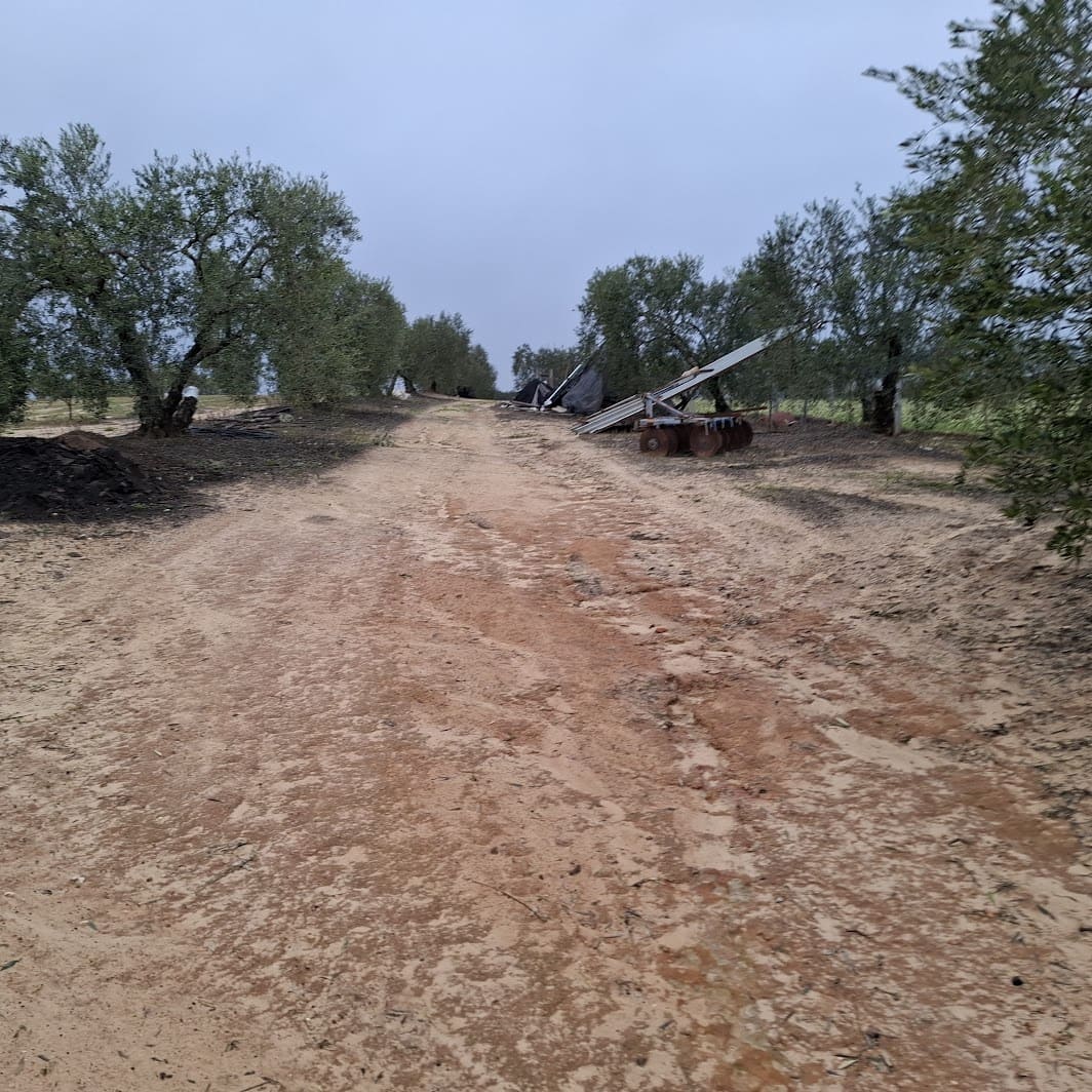 2 sypialnia Finka/Dom wiejski na sprzedaż w Almonte z basenem garażem - 140 000 € (Ref: 9604544)