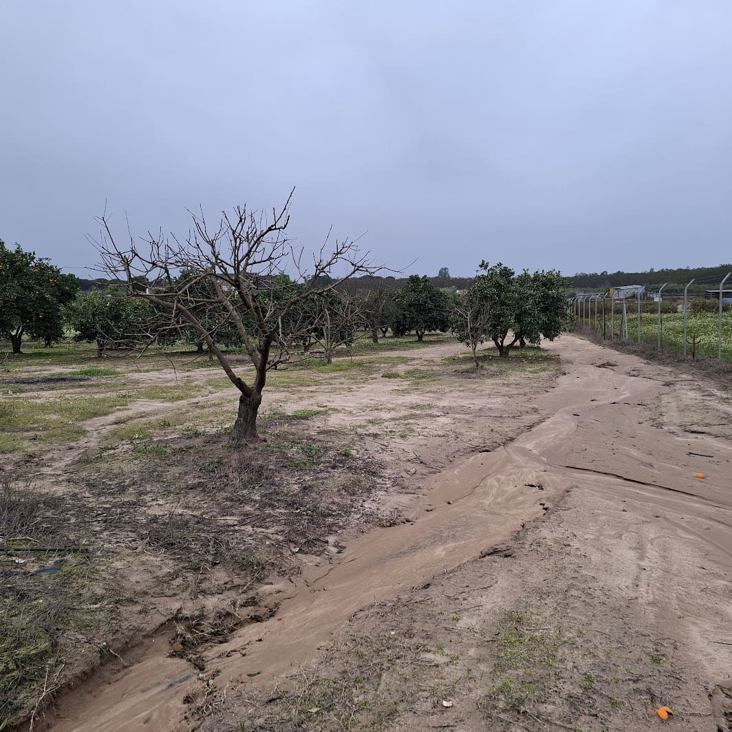 2 sypialnia Finka/Dom wiejski na sprzedaż w Almonte z basenem garażem - 140 000 € (Ref: 9604544)