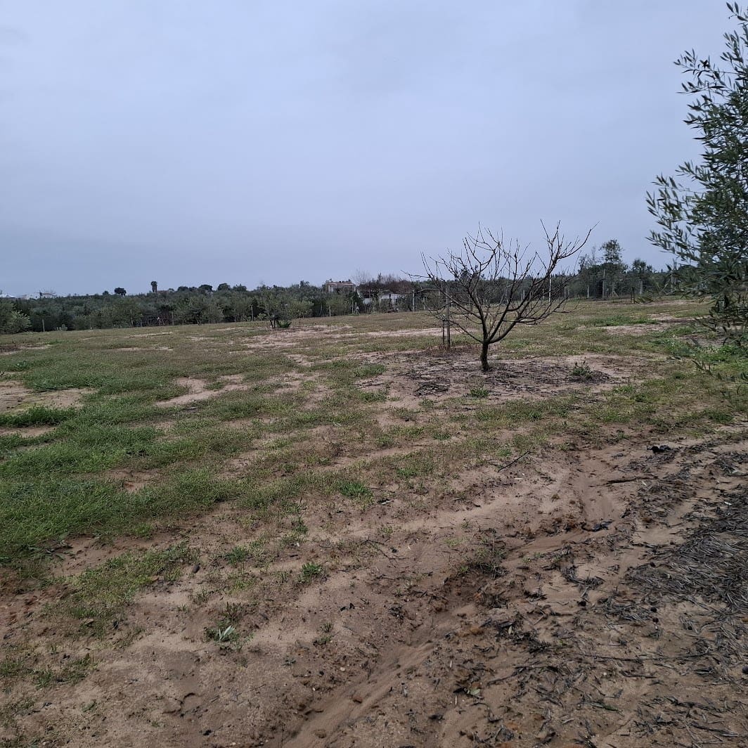 2 sypialnia Finka/Dom wiejski na sprzedaż w Almonte z basenem garażem - 140 000 € (Ref: 9604544)