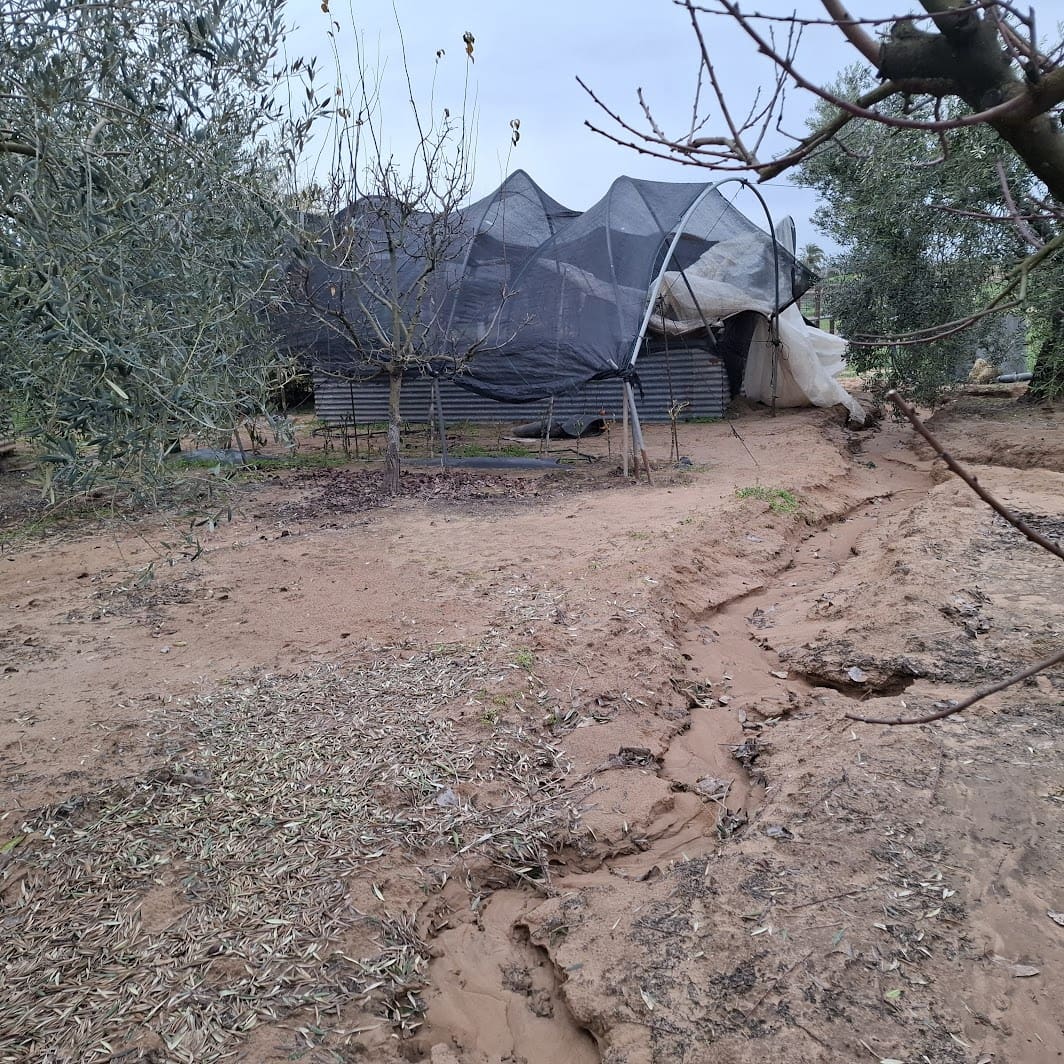 2 sypialnia Finka/Dom wiejski na sprzedaż w Almonte z basenem garażem - 140 000 € (Ref: 9604544)