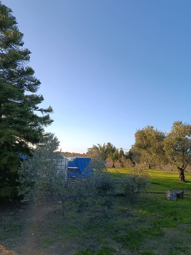 Quinta/Casa Rural para venda em La Palma del Condado com piscina garagem - 145 000 € (Ref: 9637299)