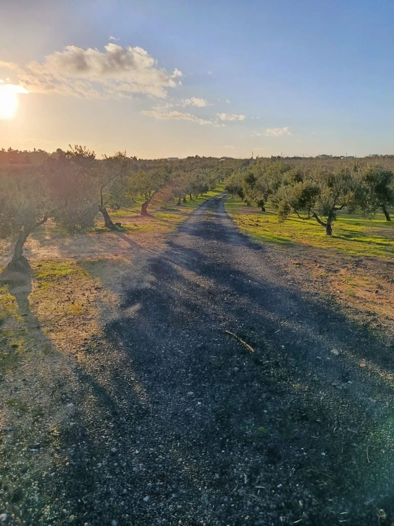 Quinta/Casa Rural para venda em La Palma del Condado com piscina garagem - 145 000 € (Ref: 9637299)