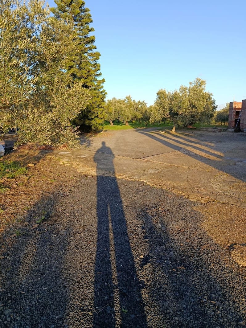 Quinta/Casa Rural para venda em La Palma del Condado com piscina garagem - 145 000 € (Ref: 9637299)