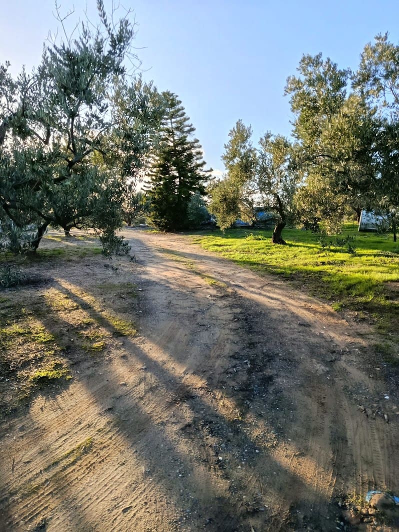 Quinta/Casa Rural para venda em La Palma del Condado com piscina garagem - 145 000 € (Ref: 9637299)