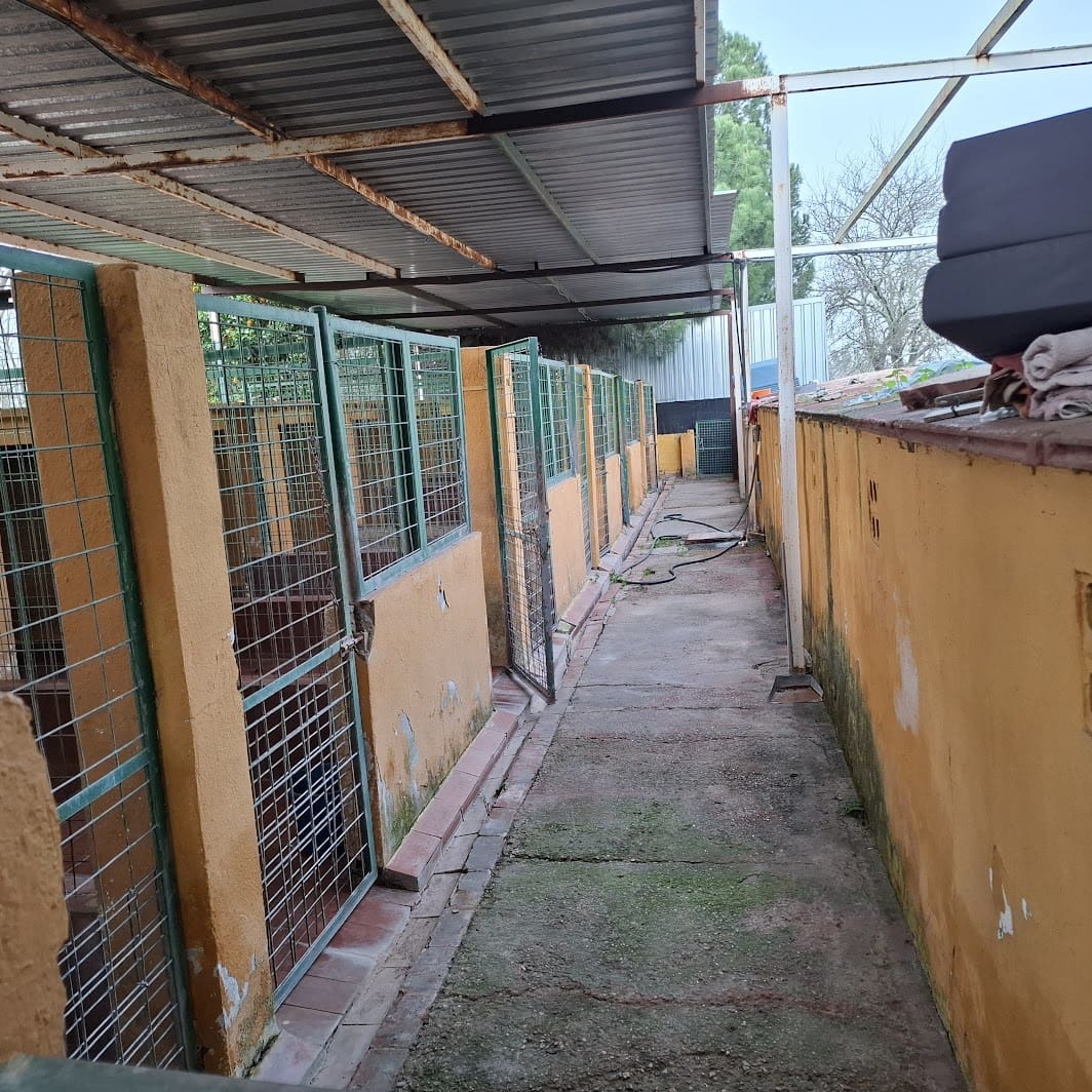 2 bedroom Finca/Country House for sale in Almonte with garage - € 95,000 (Ref: 9695246)