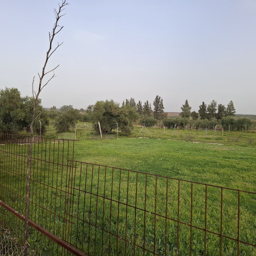 2 bedroom Finca/Country House for sale in Almonte with garage - € 95,000 (Ref: 9695246)