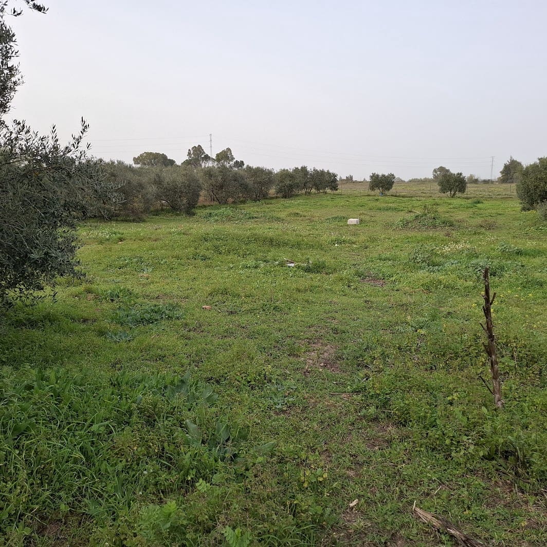 2 bedroom Finca/Country House for sale in Almonte with garage - € 95,000 (Ref: 9695246)