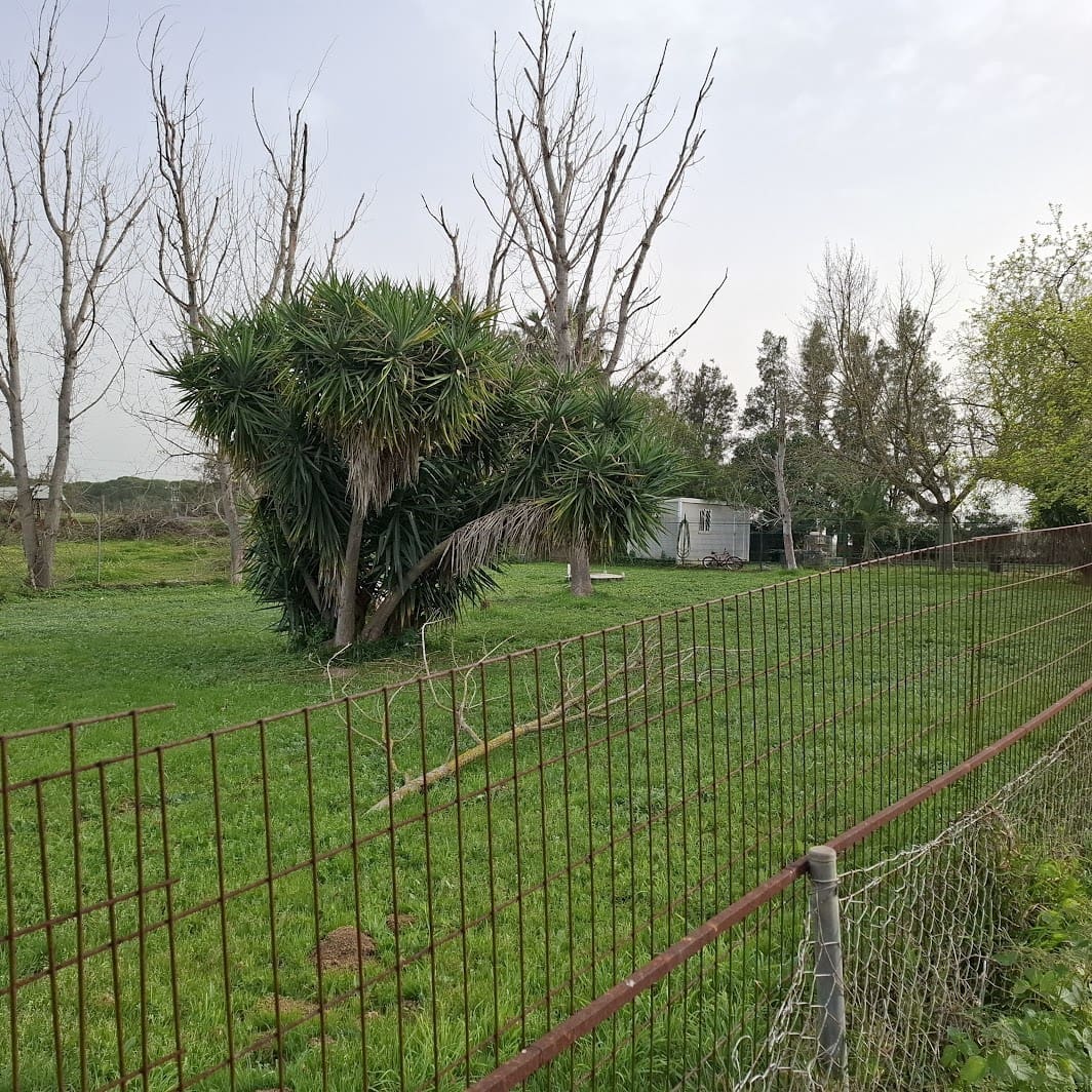 2 bedroom Finca/Country House for sale in Almonte with garage - € 95,000 (Ref: 9695246)