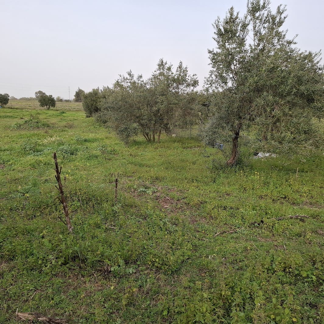 2 bedroom Finca/Country House for sale in Almonte with garage - € 95,000 (Ref: 9695246)