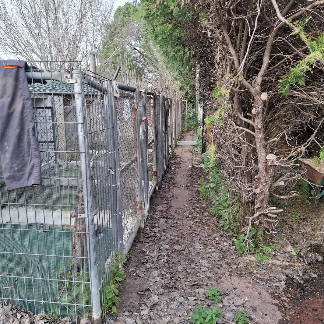 2 bedroom Finca/Country House for sale in Almonte with garage - € 95,000 (Ref: 9695246)