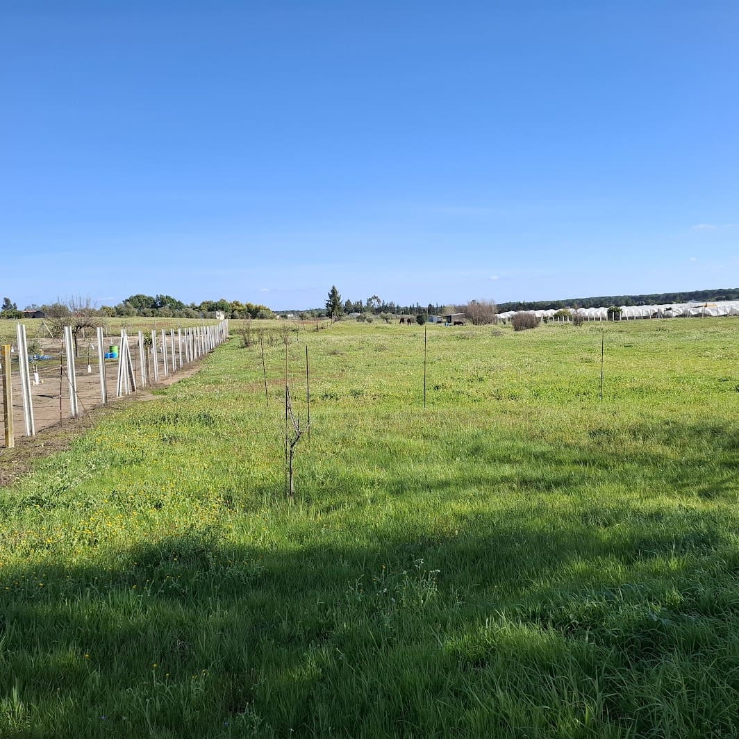 Finca/Herregård til salgs i Almonte med garasje - € 48 000 (Ref: 9729253)