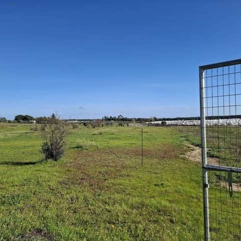 Finca/Herregård til salgs i Almonte med garasje - € 48 000 (Ref: 9729253)