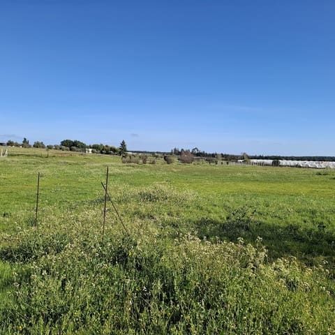 Finca/Herregård til salgs i Almonte med garasje - € 48 000 (Ref: 9729253)